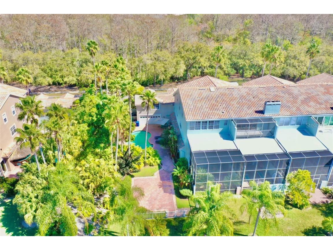 1648 Lago Vista Boulevard Palm Harbor FL 34685 - LAKE TARPON T3507489 image1