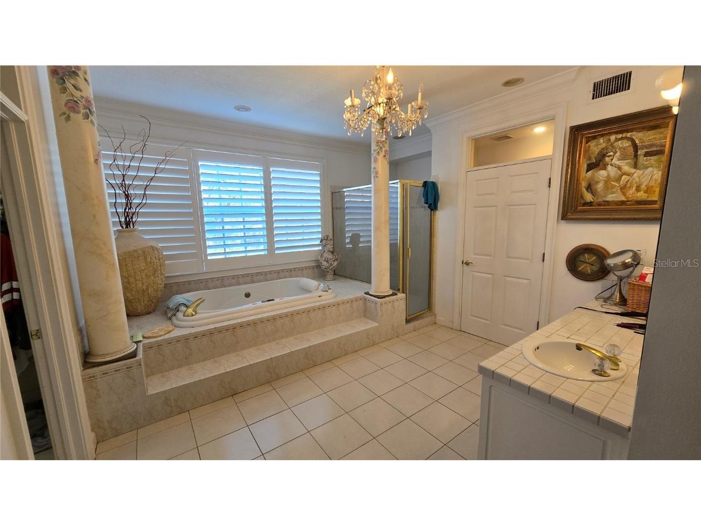 1648 Lago Vista Boulevard Palm Harbor FL 34685 - LAKE TARPON T3507489 image35