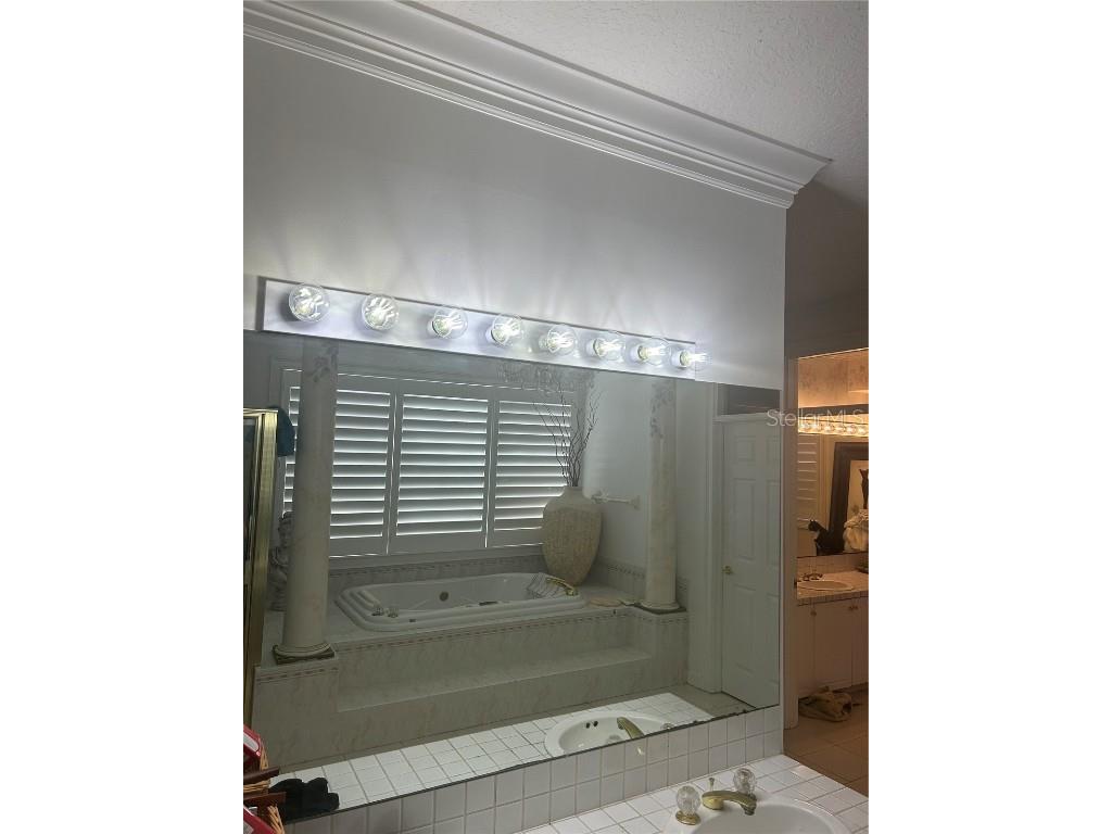 1648 Lago Vista Boulevard Palm Harbor FL 34685 - LAKE TARPON T3507489 image37