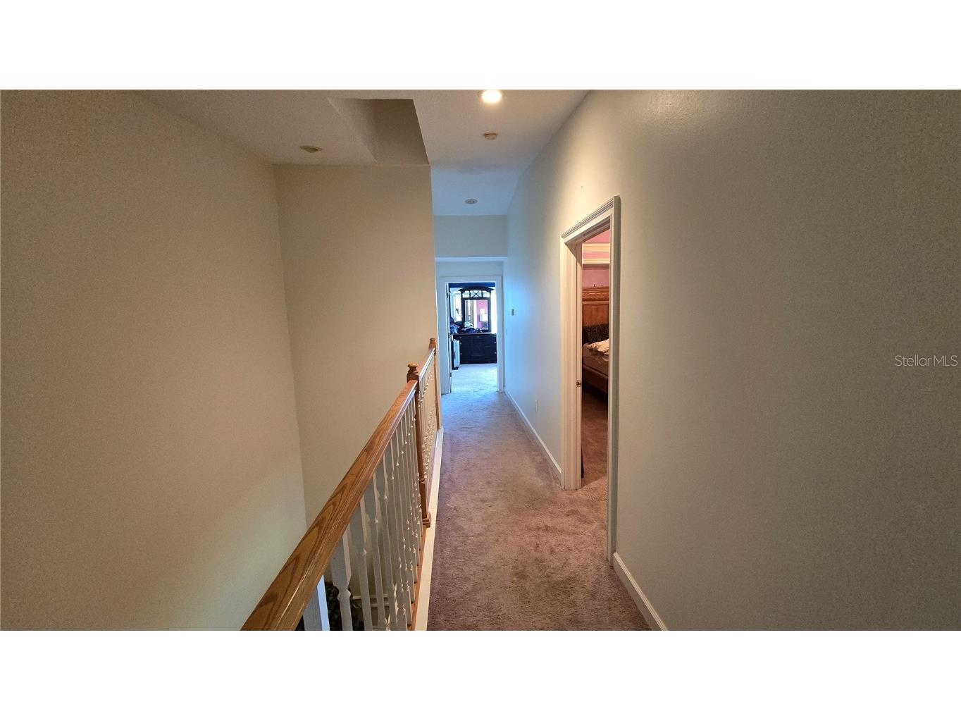 1648 Lago Vista Boulevard Palm Harbor FL 34685 - LAKE TARPON T3507489 image41