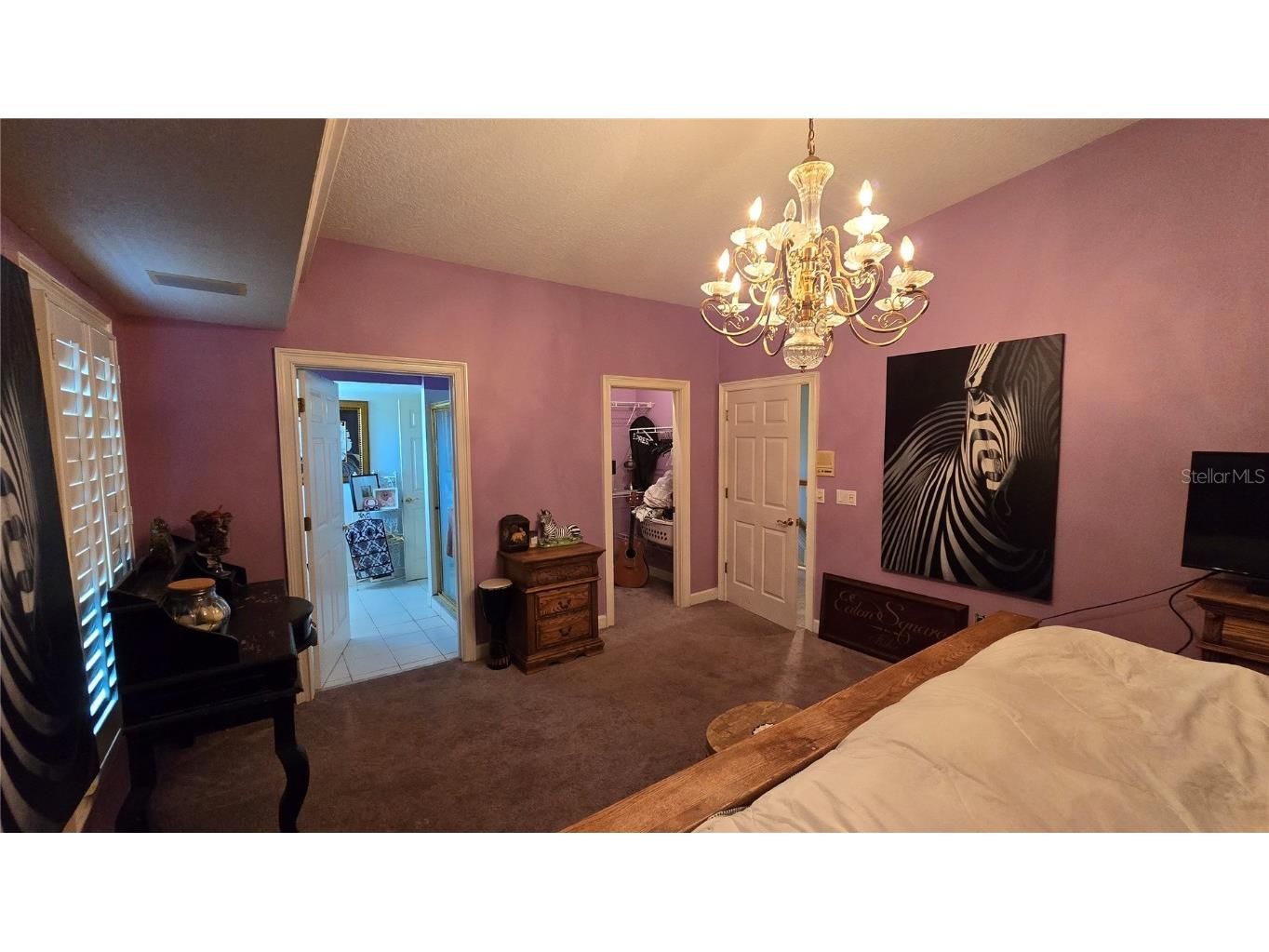 1648 Lago Vista Boulevard Palm Harbor FL 34685 - LAKE TARPON T3507489 image47