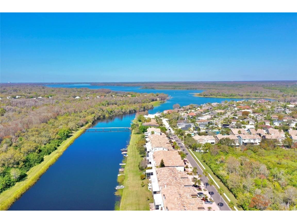 1648 Lago Vista Boulevard Palm Harbor FL 34685 - LAKE TARPON T3507489 image57