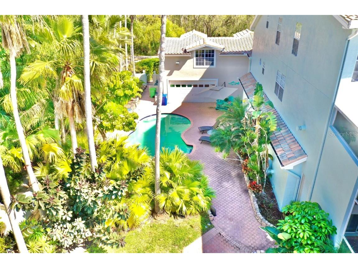 1648 Lago Vista Boulevard Palm Harbor FL 34685 - LAKE TARPON T3507489 image58