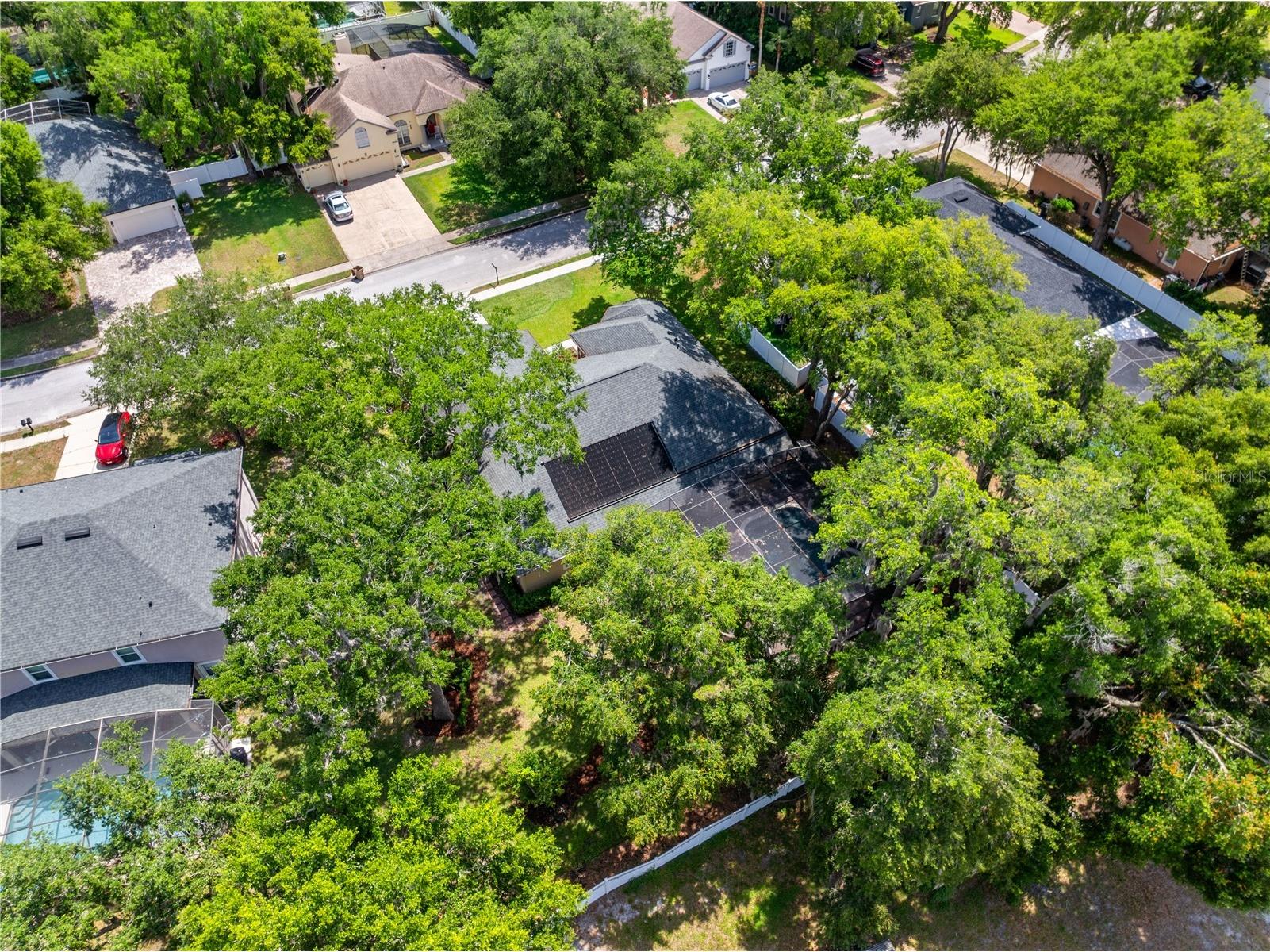 1648 Marina Lake Drive Kissimmee FL 34744 - LAKE TOHOPEKALIGA S5150174 image64