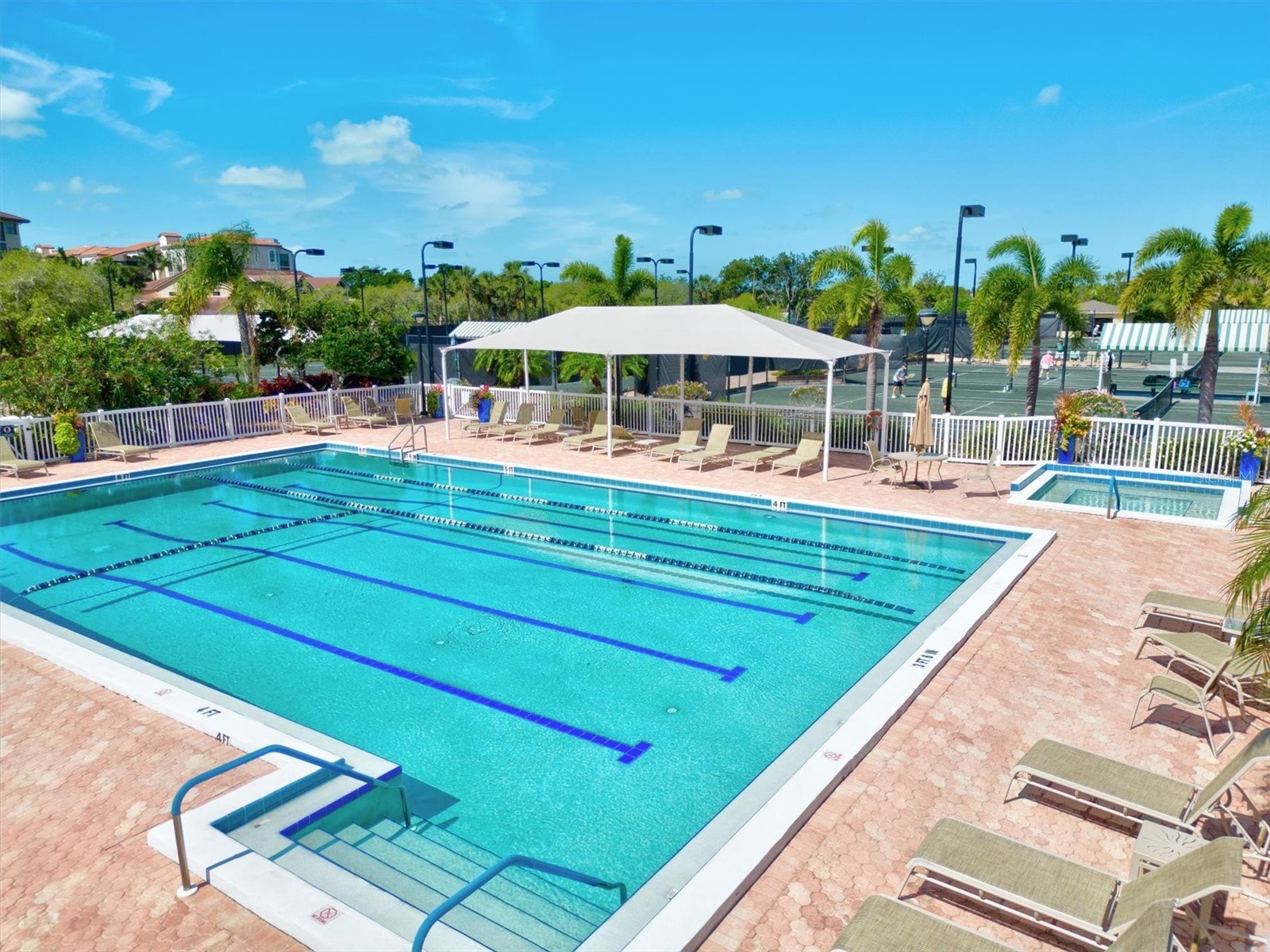 1648 Starling Drive #202 Sarasota FL 34231 A4680410 image52