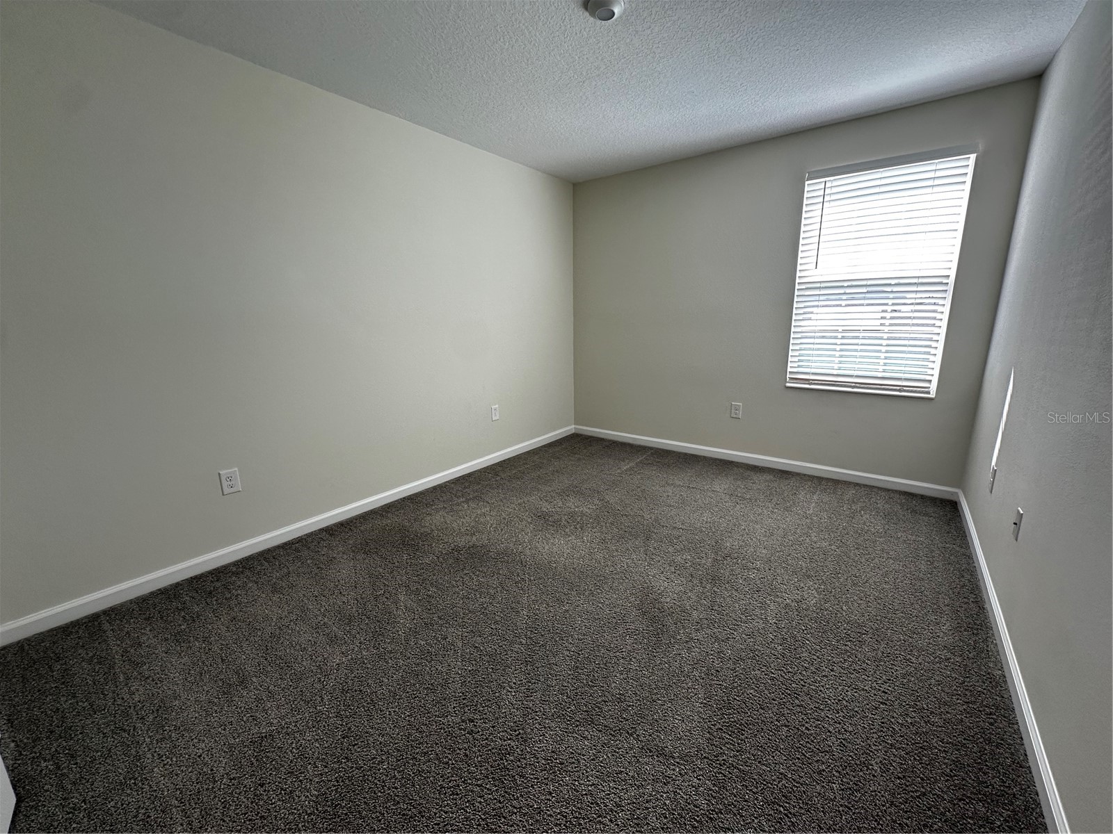 16480 Fernridge Street Clermont FL 34714 O6403177 image16