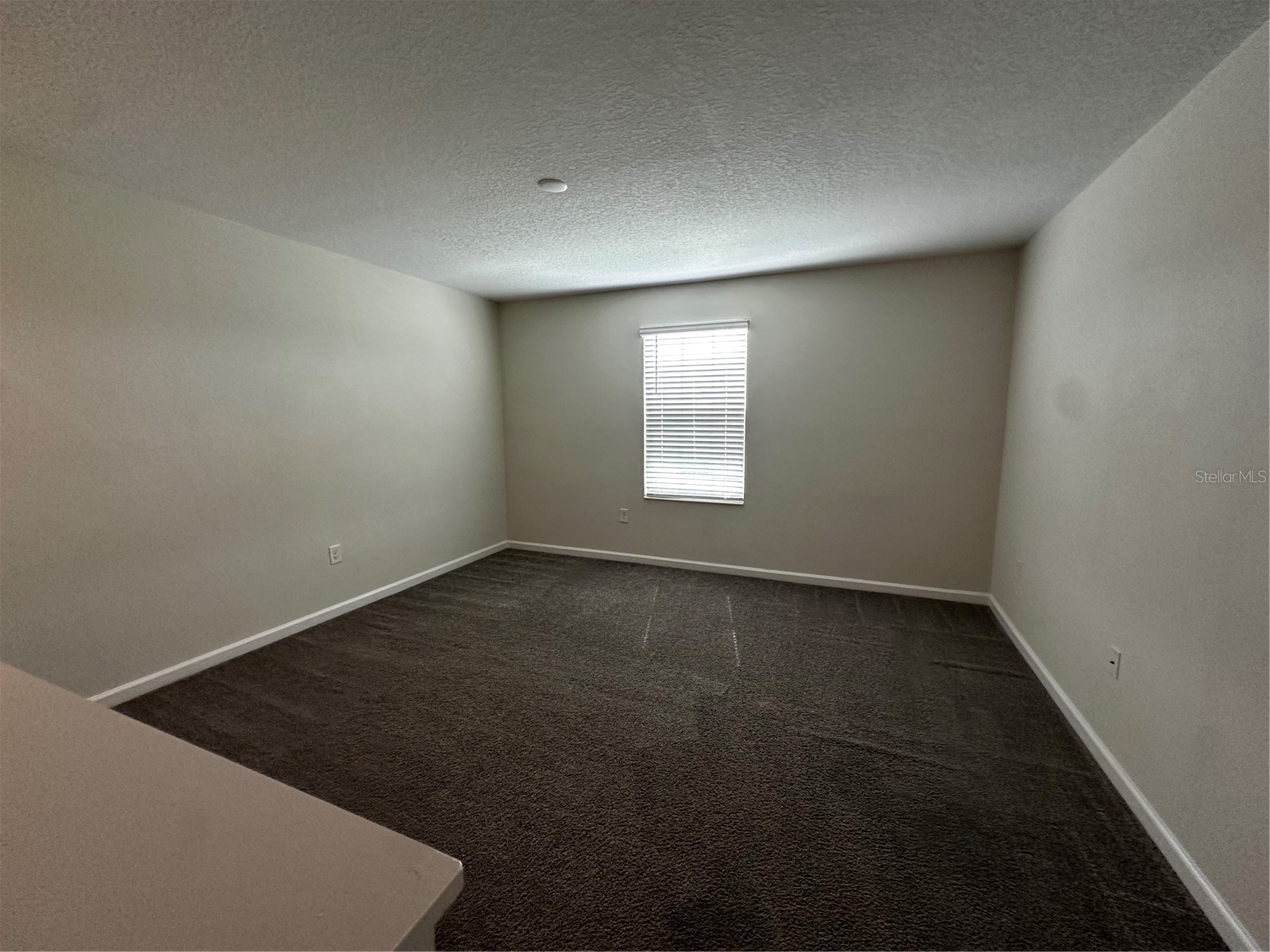 16480 Fernridge Street Clermont FL 34714 O6403177 image20