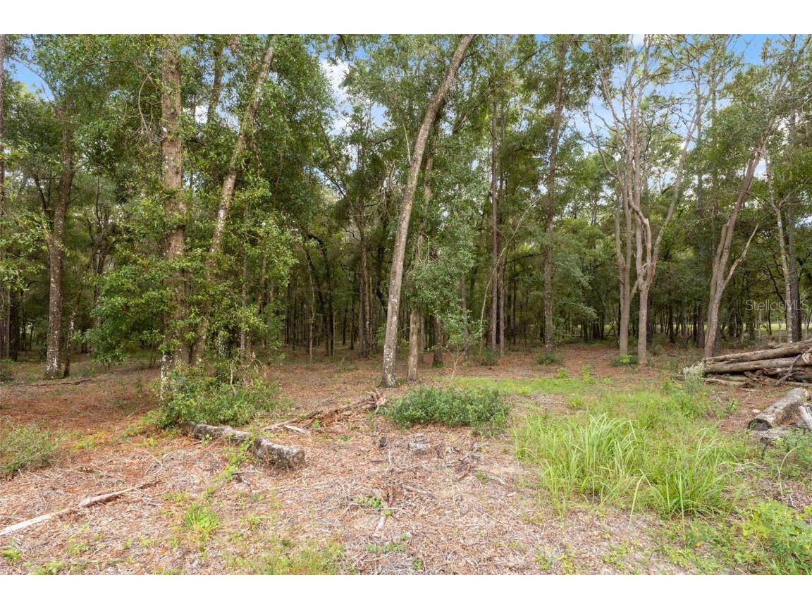 16481 Oakview Drive Brooksville FL 34601 W7879670 image36