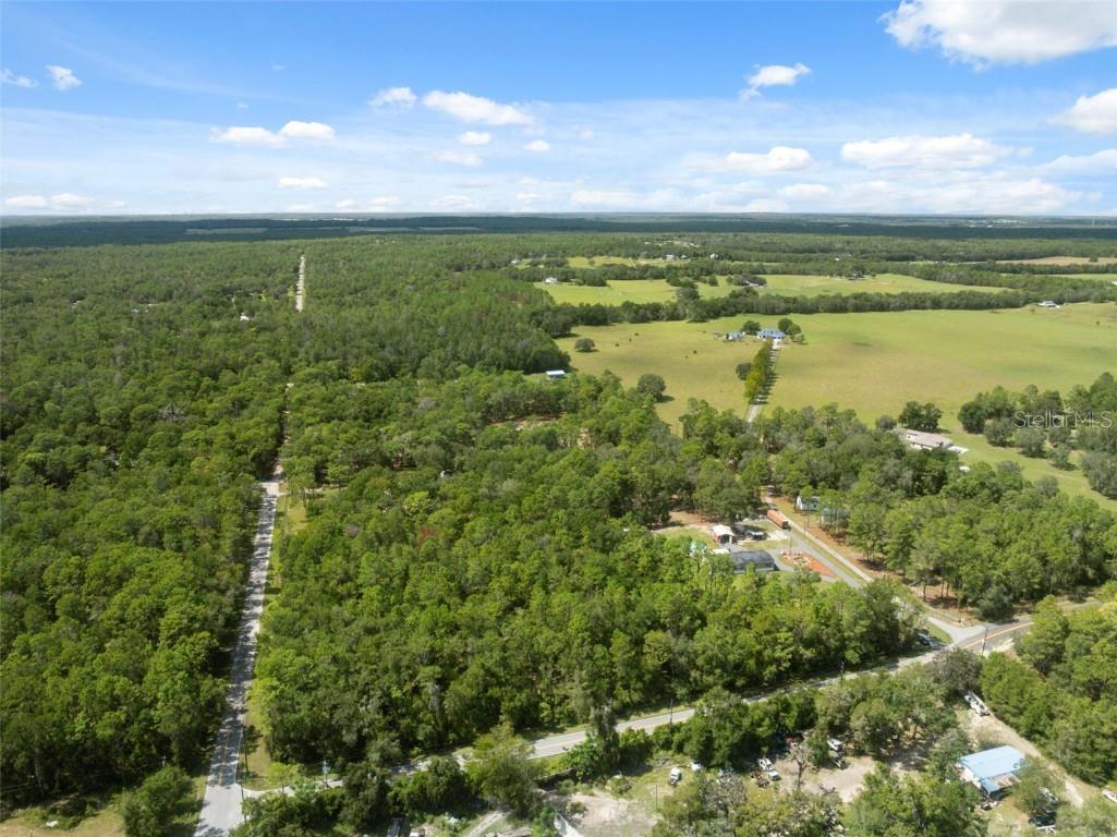 16481 Oakview Drive Brooksville FL 34601 W7879670 image54