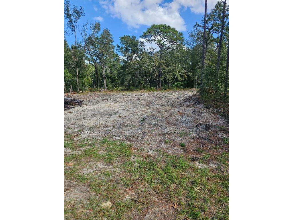 16484 Cayman Road Weeki Wachee FL 34614 TB8318947 image1