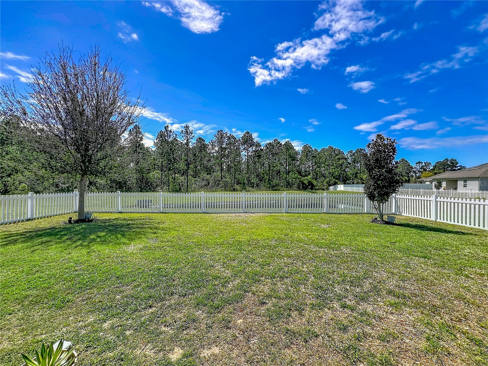 16486 Champlain Street Clermont FL 34714 O6392355 image71