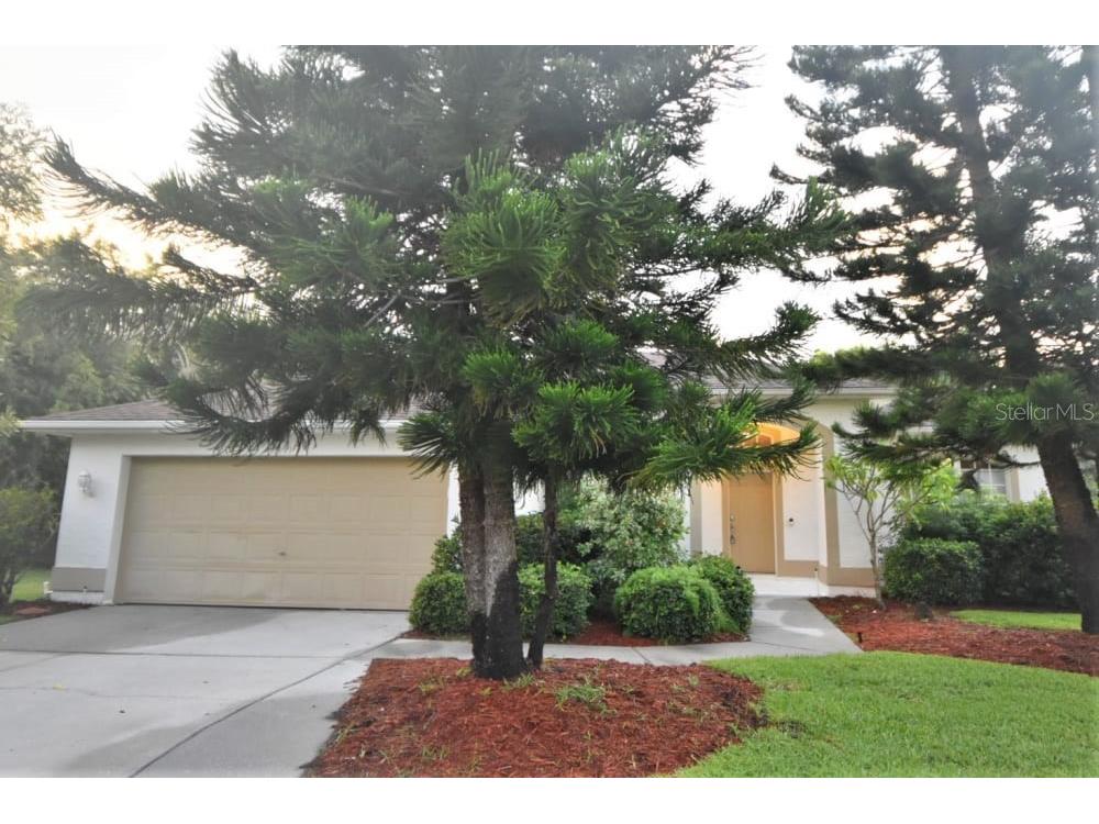 1649 Oak Park Court Tarpon Springs FL 34689 T3480603 image1