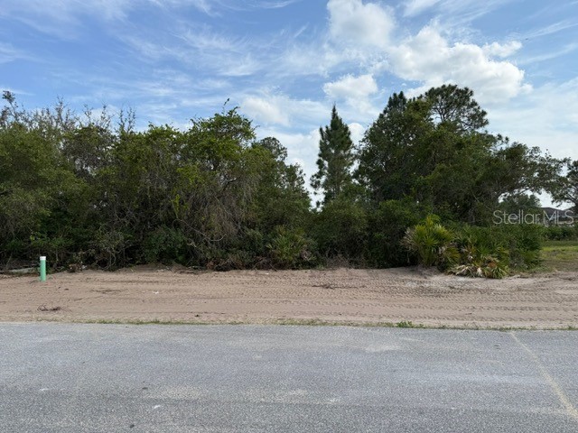 1649 Redfin Drive Poinciana FL 34759 TB8353757 image2