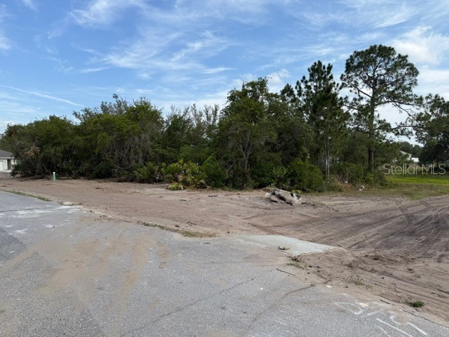 1649 Redfin Drive Poinciana FL 34759 TB8353757 image3