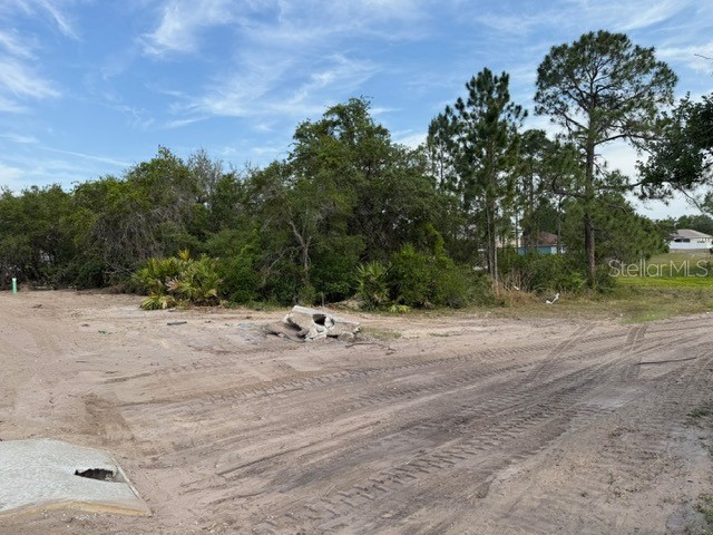 1649 Redfin Drive Poinciana FL 34759 TB8353757 image4