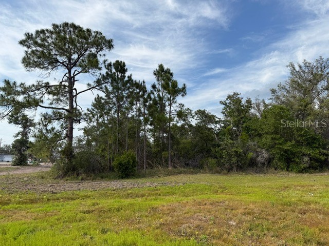 1649 Redfin Drive Poinciana FL 34759 TB8353757 image5