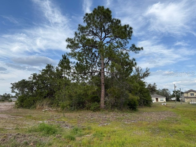 1649 Redfin Drive Poinciana FL 34759 TB8353757 image6