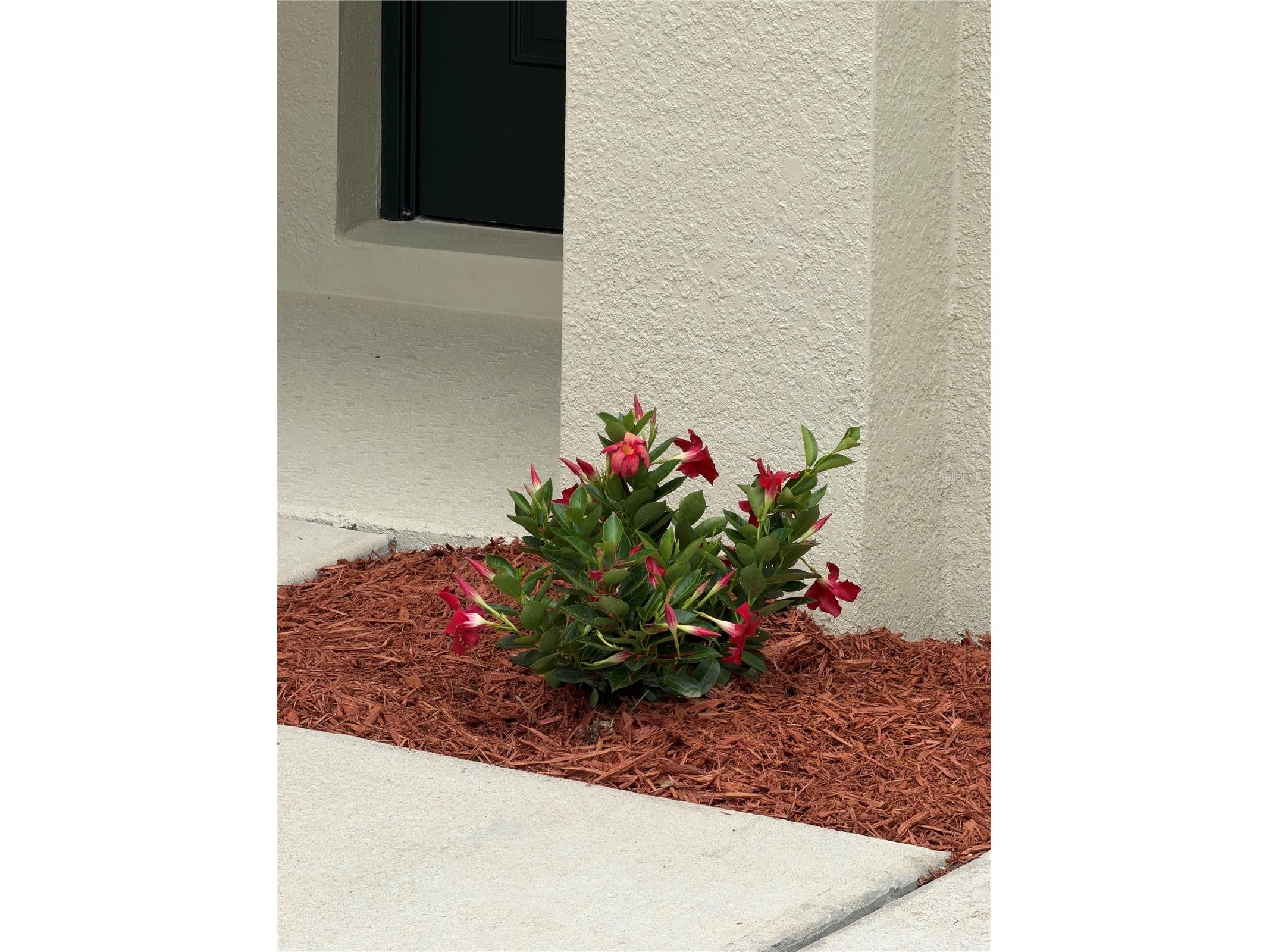 16491 Glassy Loch Loop Clermont FL 34714 S5151709 image2