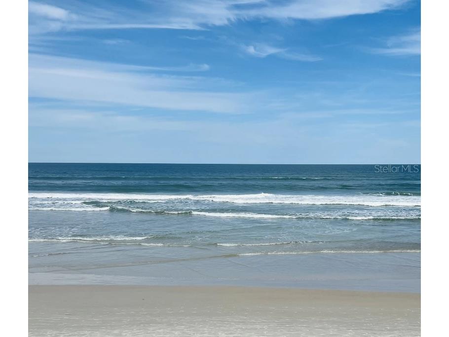 16491 Mercer Road Weeki Wachee FL 34614 O6370380 image21