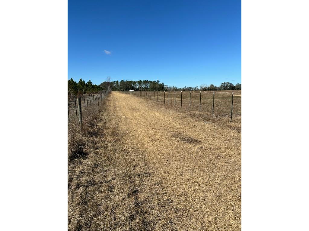 16498 221st Road Live Oak FL 32060 O6304430 image5