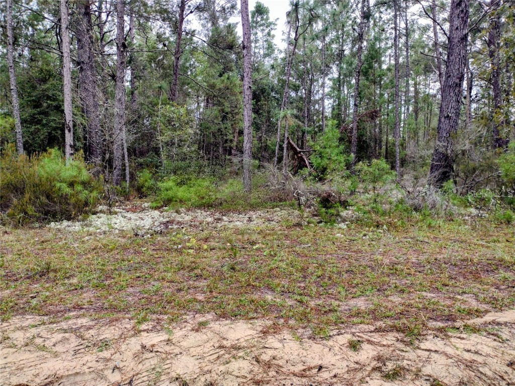 165 7th Way Interlachen FL 32148 S5136372 image1