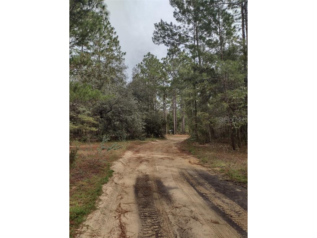 165 7th Way Interlachen FL 32148 S5136372 image2