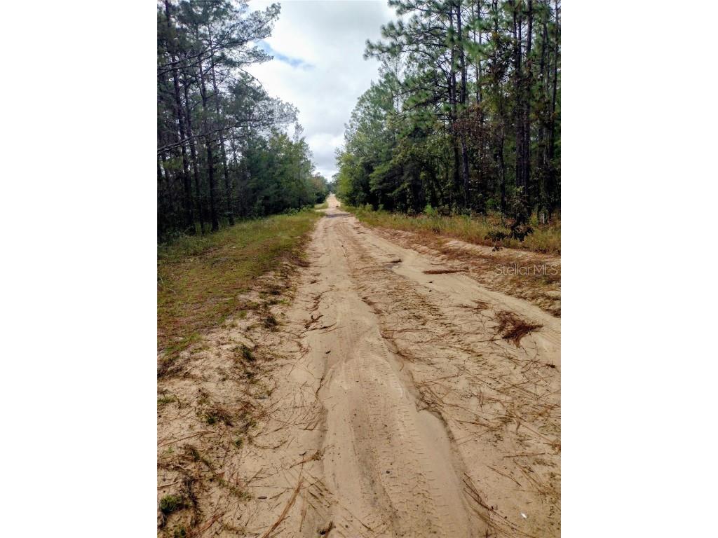 165 7th Way Interlachen FL 32148 S5136372 image3