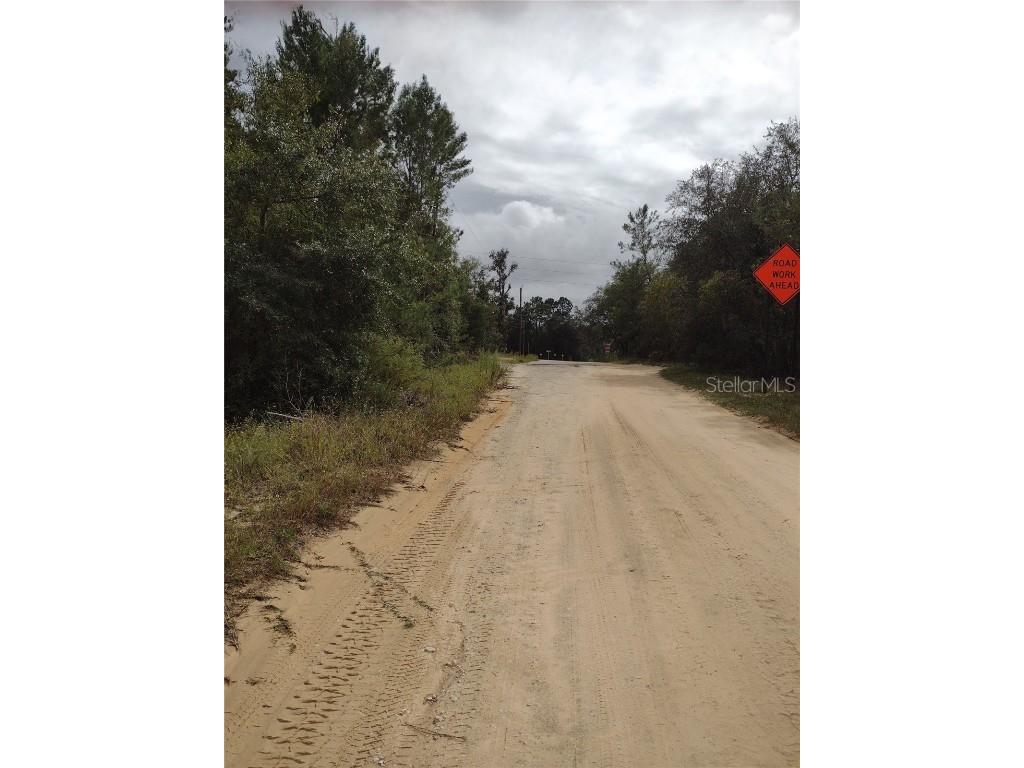 165 7th Way Interlachen FL 32148 S5136372 image6