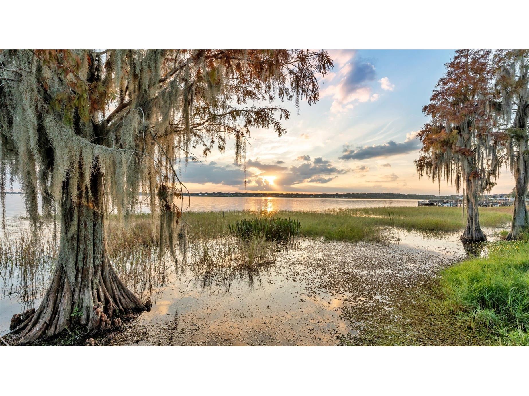 165 Arianna Way Auburndale FL 33823 L4957632 image7
