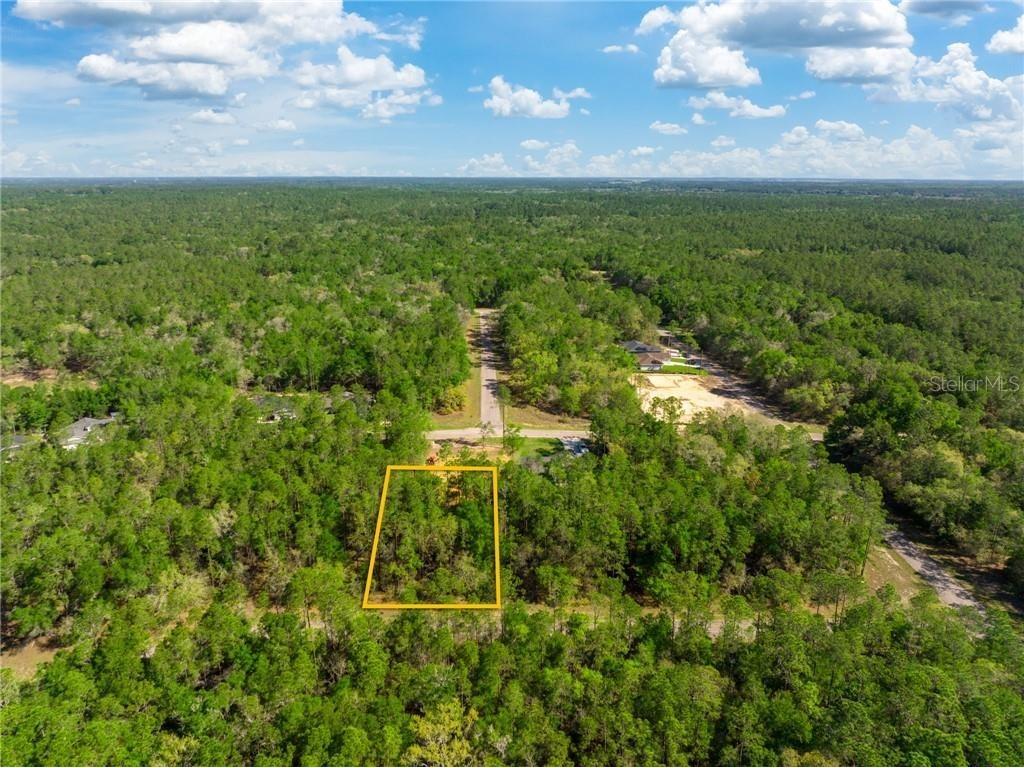 165 E Simms Lane Citrus Springs FL 34434 T3438582 image1