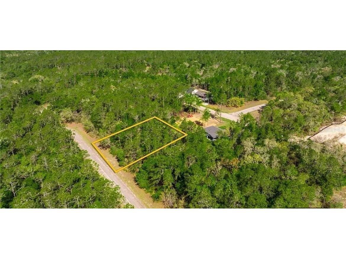 165 E Simms Ln Citrus Springs FL 34434 TB8404183 image1