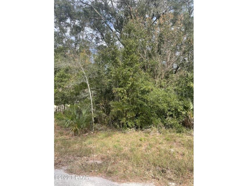 165 Falcon Fire Place Bunnell FL 32110 FC295322 image1