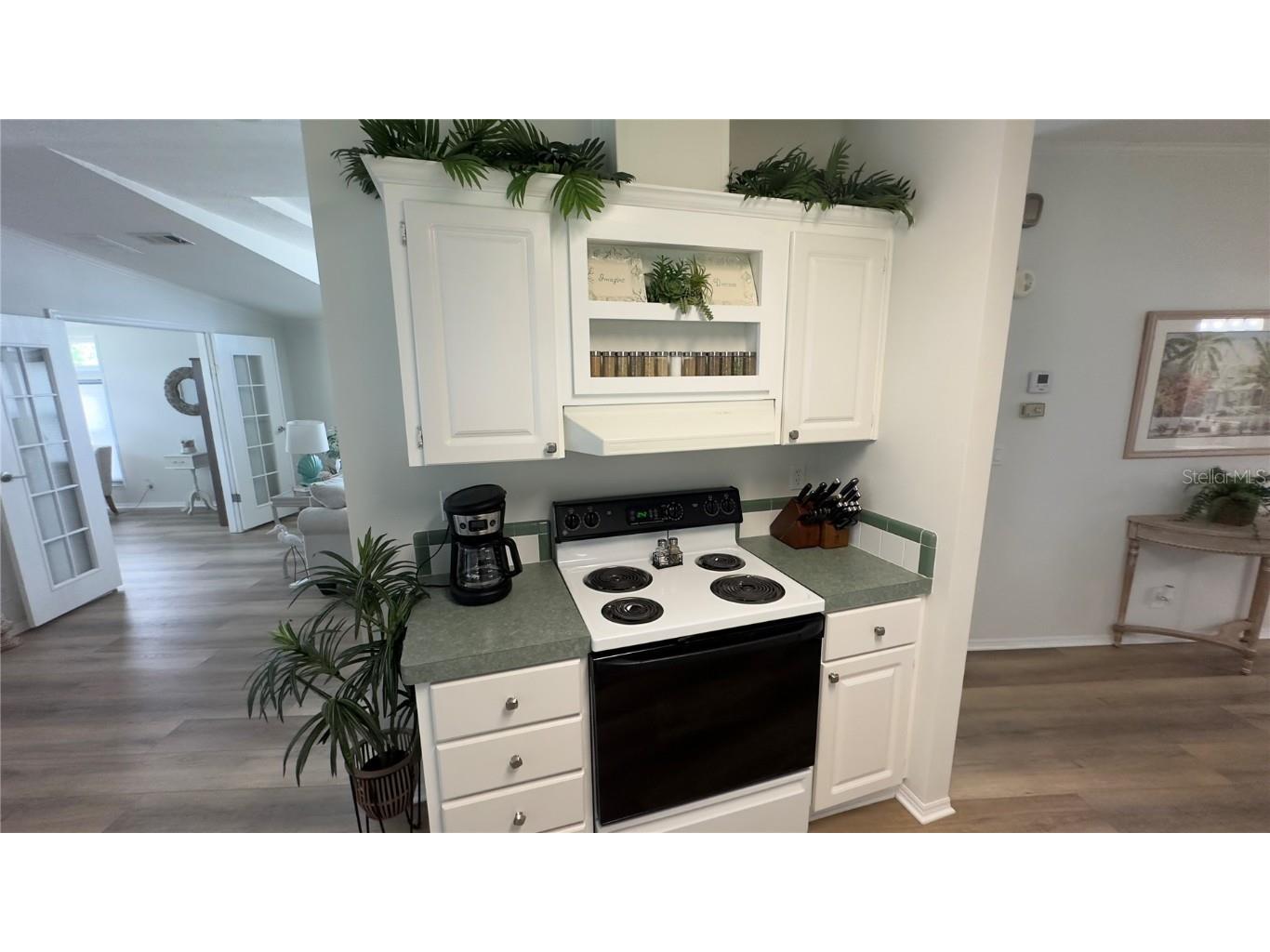 165 Lakeview Drive Palmetto FL 34221 A4666712 image15