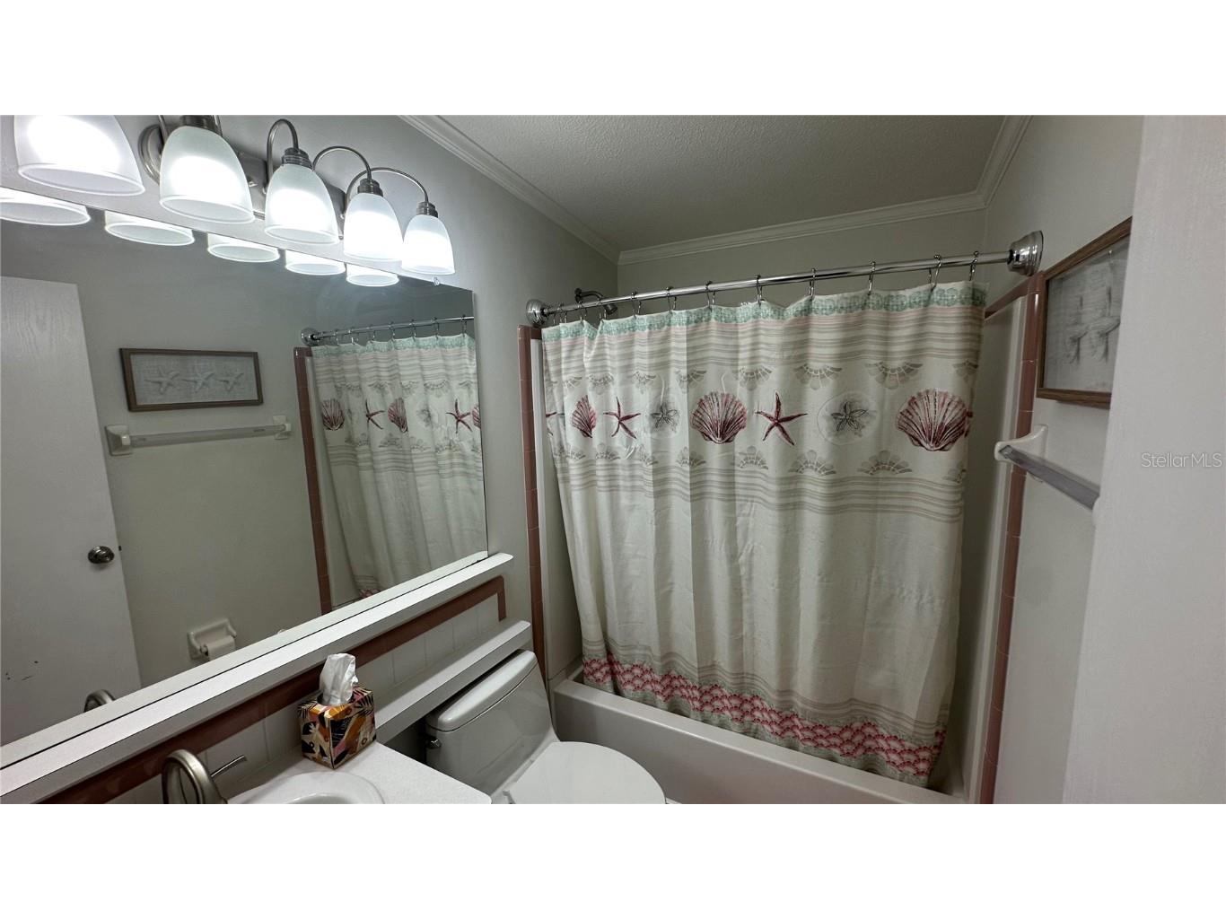 165 Lakeview Drive Palmetto FL 34221 A4666712 image25