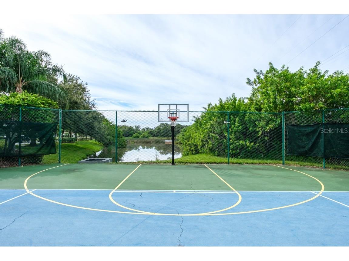 165 Mobbly Bay Drive Oldsmar FL 34677 TB8430614 image100