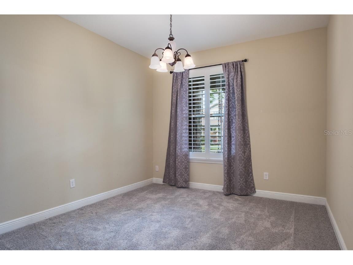 165 Mobbly Bay Drive Oldsmar FL 34677 TB8430614 image15