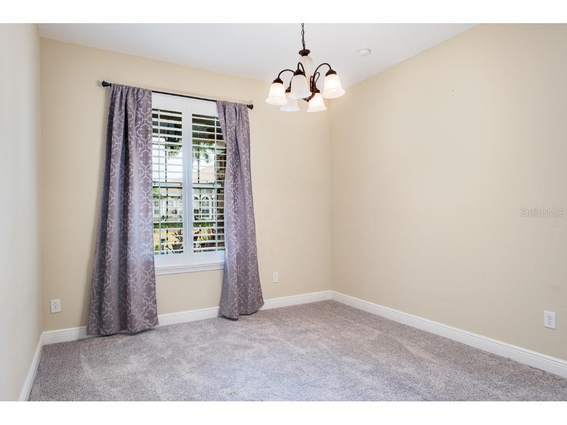 165 Mobbly Bay Drive Oldsmar FL 34677 TB8430614 image16