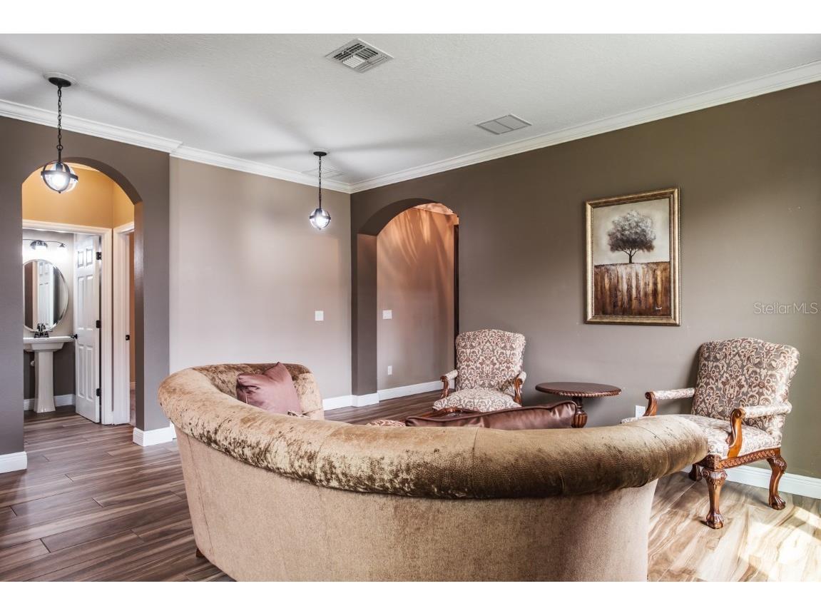 165 Mobbly Bay Drive Oldsmar FL 34677 TB8430614 image21