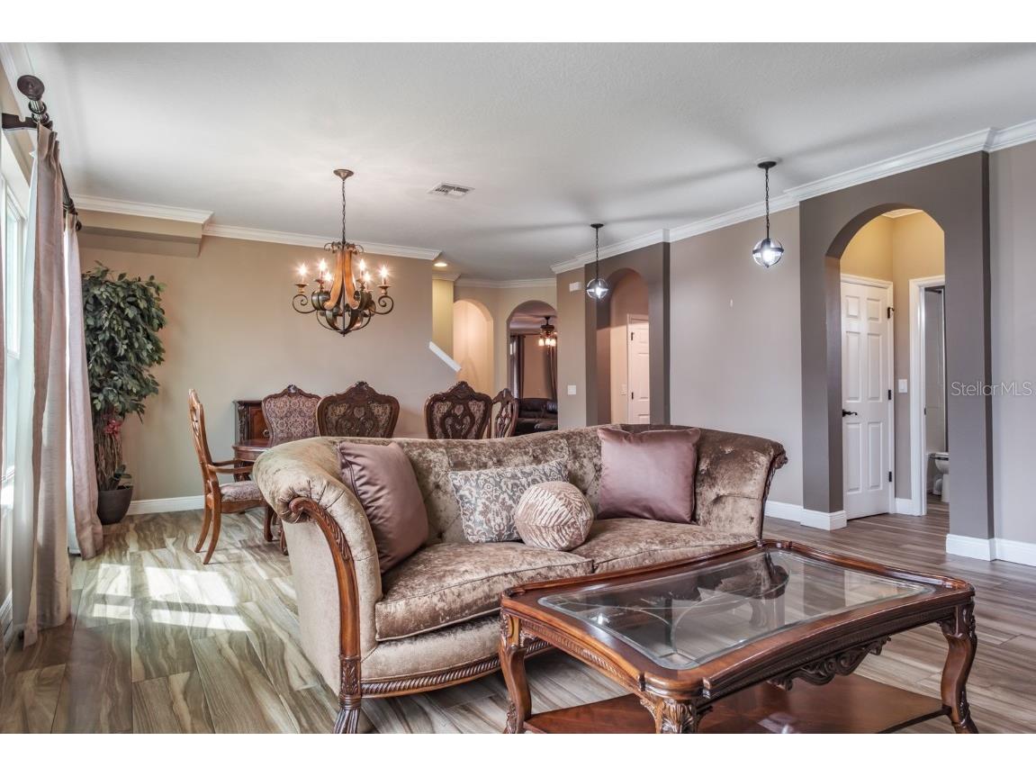 165 Mobbly Bay Drive Oldsmar FL 34677 TB8430614 image22