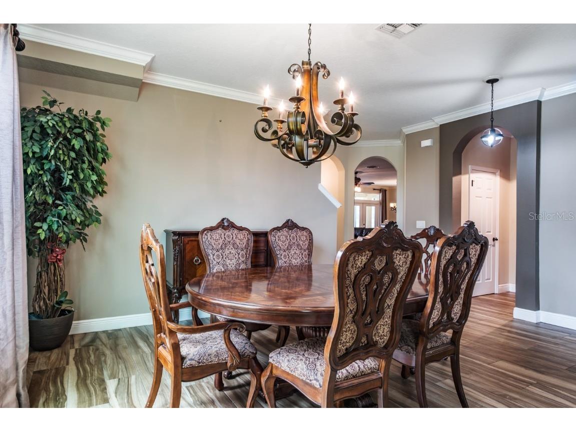 165 Mobbly Bay Drive Oldsmar FL 34677 TB8430614 image26