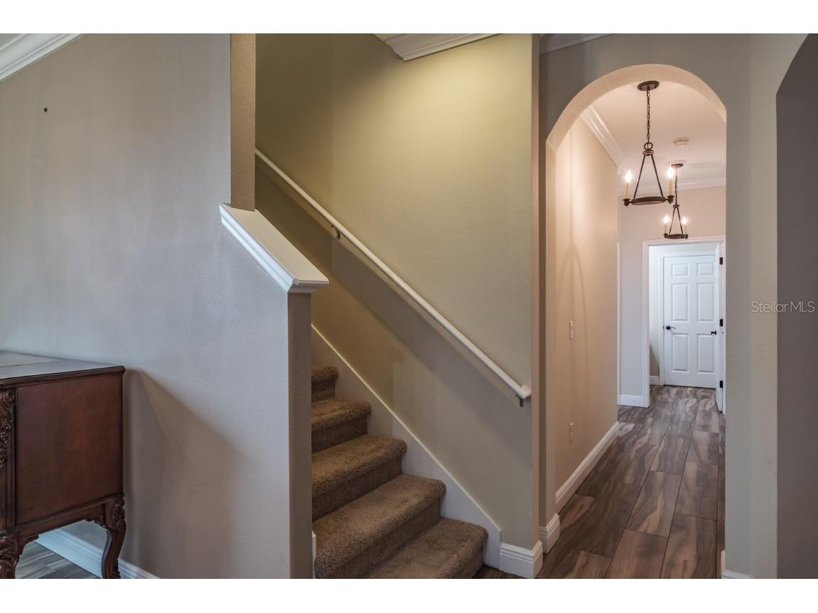 165 Mobbly Bay Drive Oldsmar FL 34677 TB8430614 image27