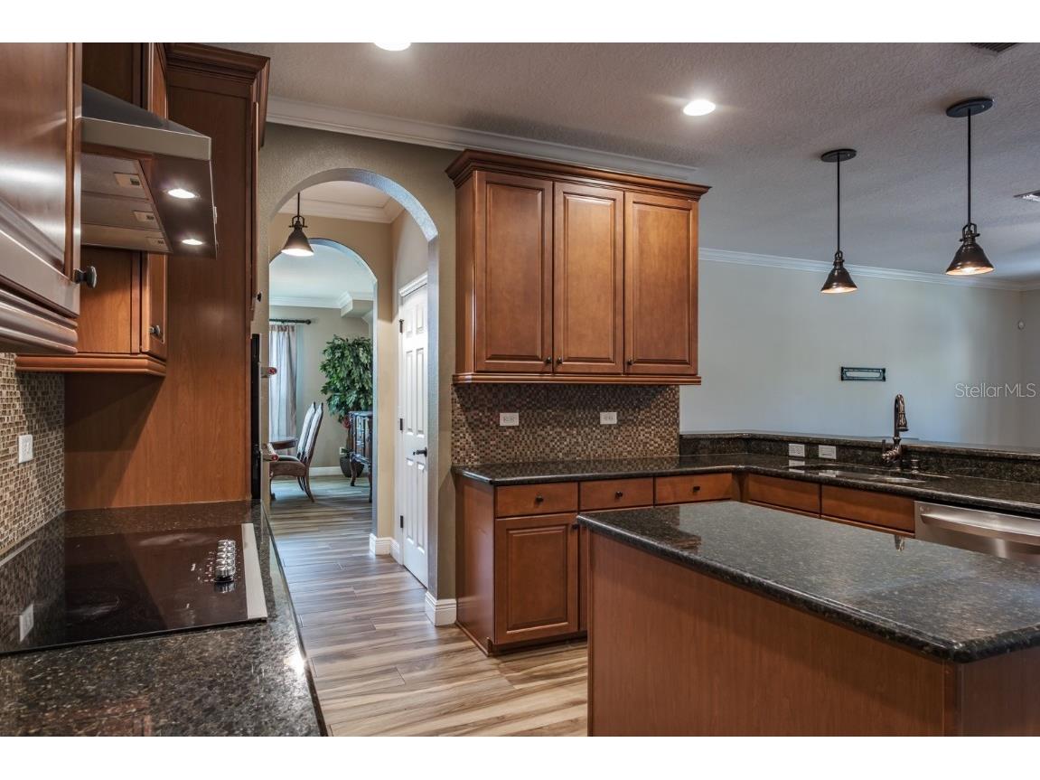 165 Mobbly Bay Drive Oldsmar FL 34677 TB8430614 image42