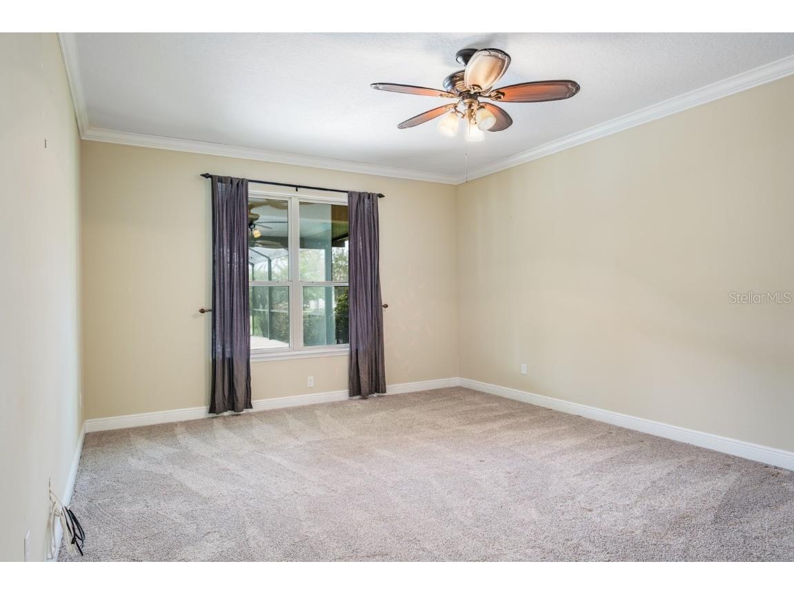 165 Mobbly Bay Drive Oldsmar FL 34677 TB8430614 image45