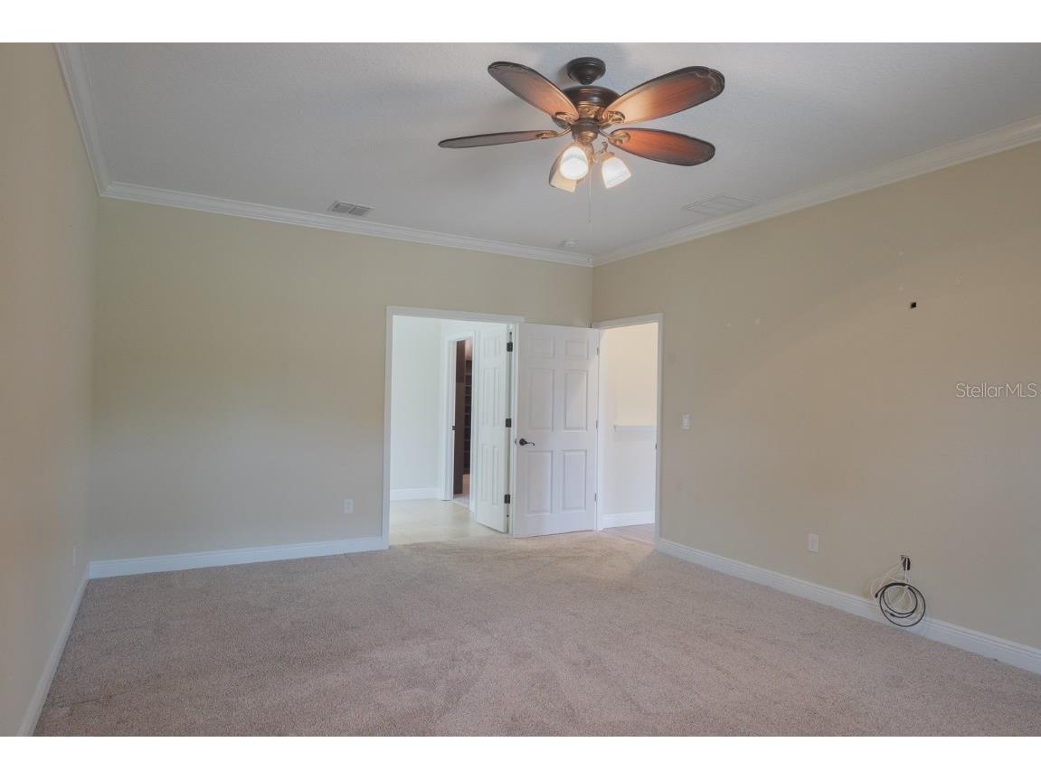 165 Mobbly Bay Drive Oldsmar FL 34677 TB8430614 image47