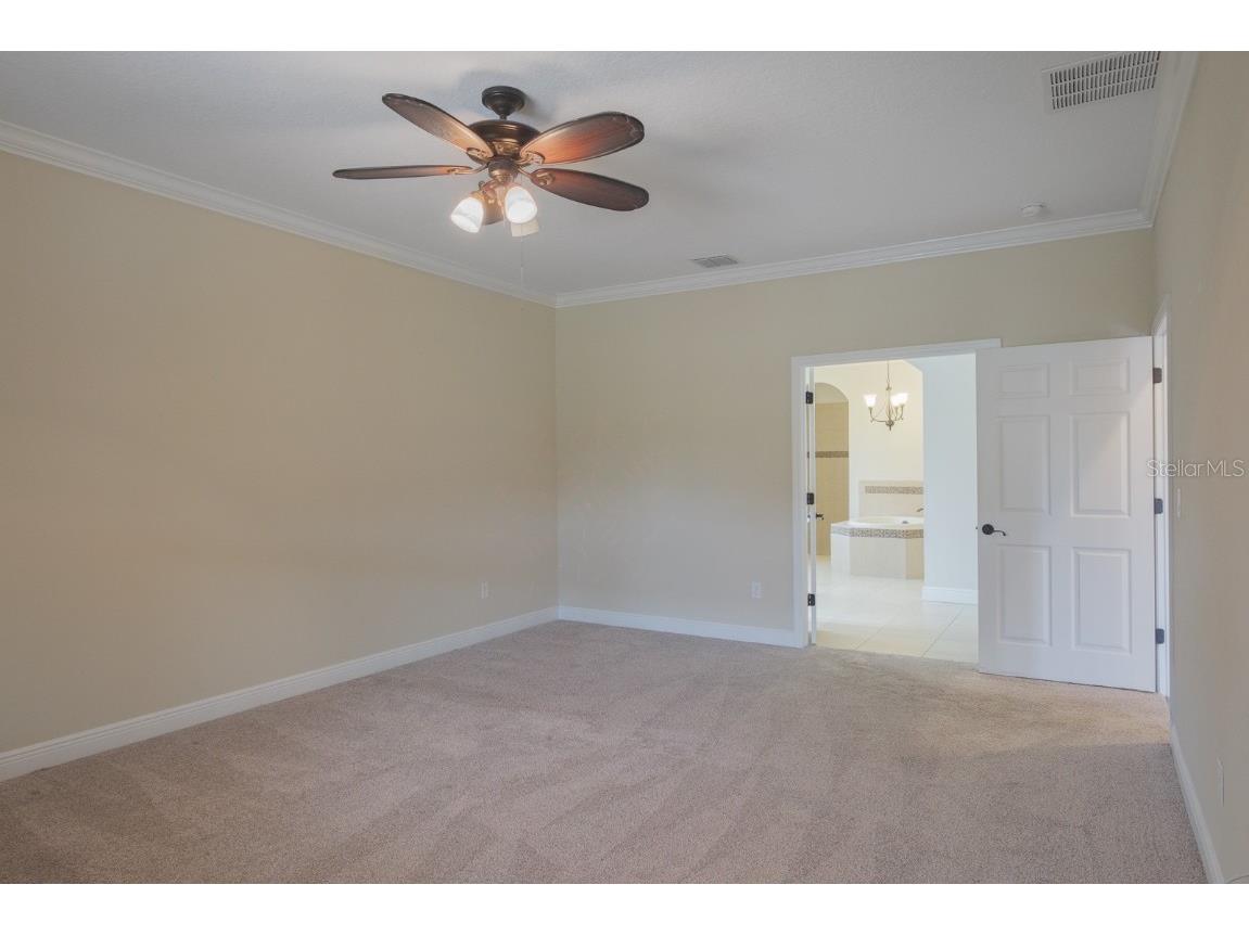 165 Mobbly Bay Drive Oldsmar FL 34677 TB8430614 image48