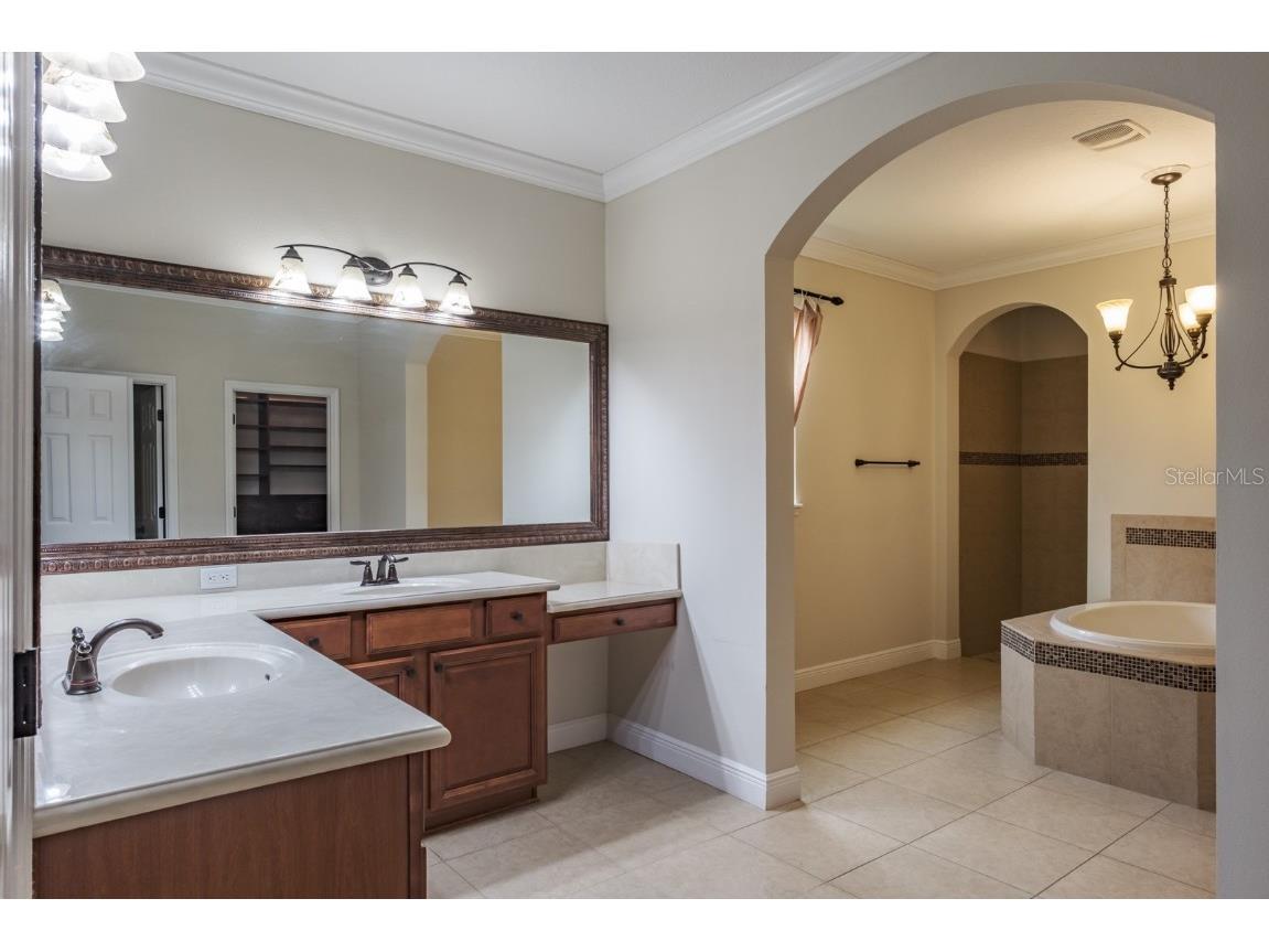 165 Mobbly Bay Drive Oldsmar FL 34677 TB8430614 image49