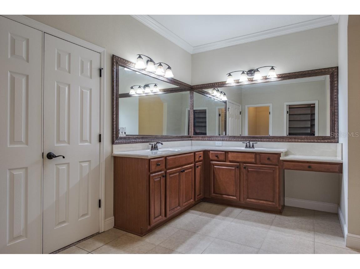 165 Mobbly Bay Drive Oldsmar FL 34677 TB8430614 image50