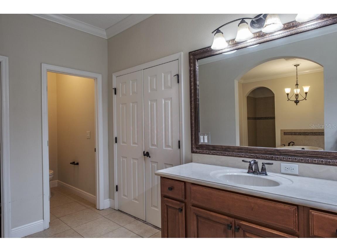 165 Mobbly Bay Drive Oldsmar FL 34677 TB8430614 image51