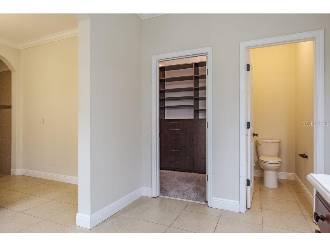 165 Mobbly Bay Drive Oldsmar FL 34677 TB8430614 image52