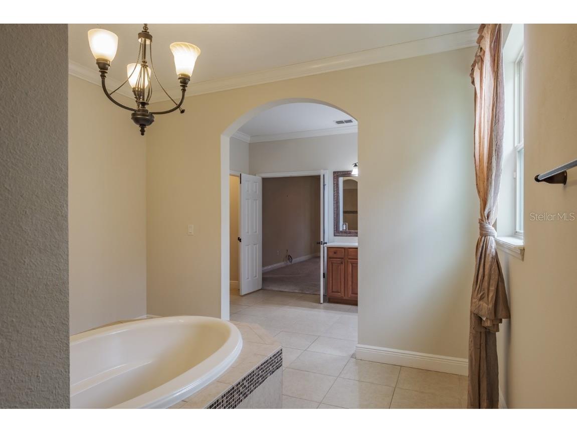 165 Mobbly Bay Drive Oldsmar FL 34677 TB8430614 image53